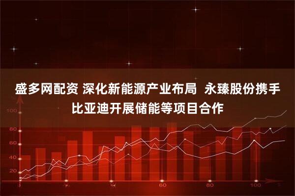 盛多网配资 深化新能源产业布局  永臻股份携手比亚迪开展储能等项目合作